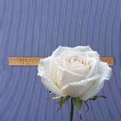 Tejido de rayas teñidas de hilo de algodón duradero para camisas de uniforme formal 110 gm